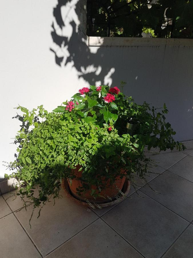 Apartment 22 Omiš Dış mekan fotoğraf